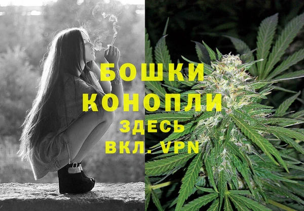 гашик Корсаков