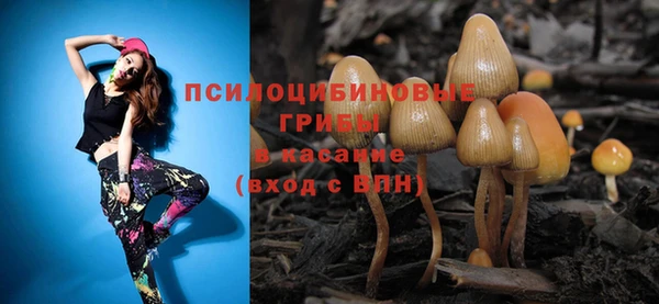 спайс Костерёво